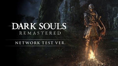 dsalksoul-network-switch