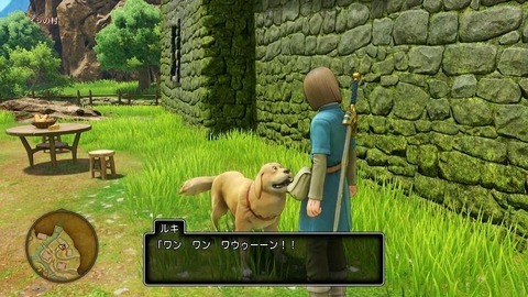 dq11-dog