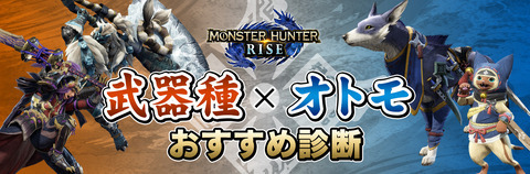 monhan-rise-weapon-otomo