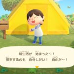何故あつまれどうぶつの森が癒されないかわかった